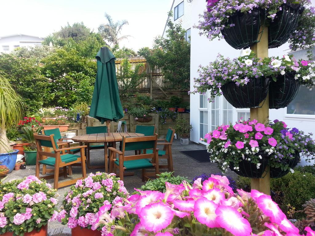 Lush & Co Auckland Bed & Breakfast Exterior photo