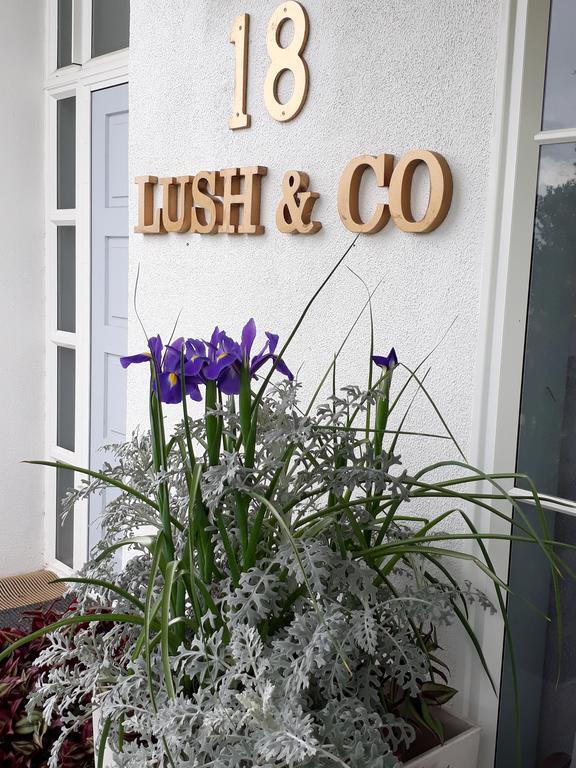 Lush & Co Auckland Bed & Breakfast Bed & Breakfast Exterior photo