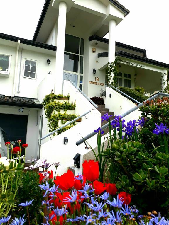 Lush & Co Auckland Bed & Breakfast Exterior photo